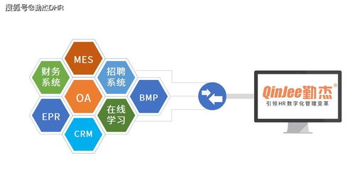 企业选择HR系统的注意事项 看完你就知道了